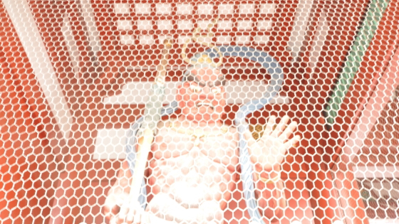 宝蔵門(仁王門)