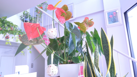 サロンドカメリヤ様 店内に飾られているキレイなお花