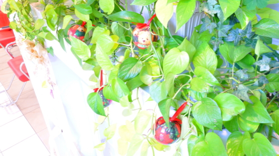 サロンドカメリヤ様 観葉植物