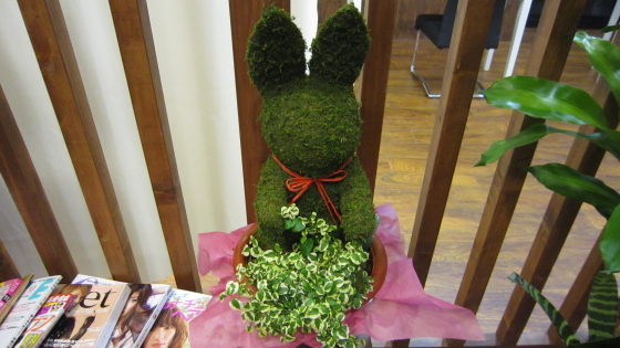 カルフールOHANA様 ウサギの観葉植物