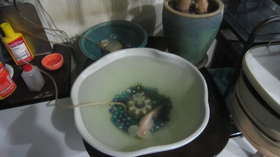 金魚