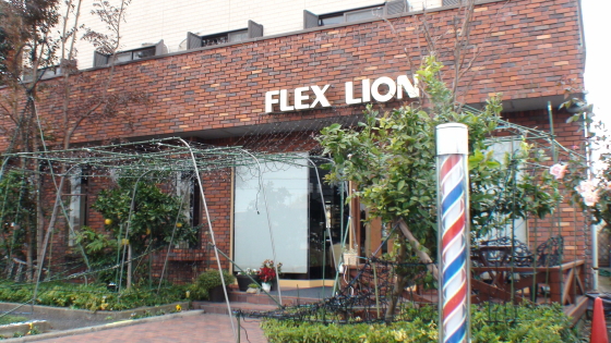 FLEX LION 様
