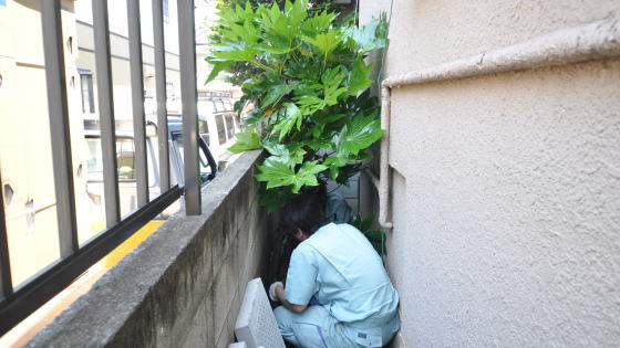 エコキュートの貯湯ユニットの設置場所の植木